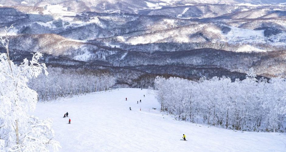 Japan isn\'t all about powder - there are some great groomed runs too. Photo: Rusutsu Japan isn\'t all about powder - there are some great groomed runs too. Photo: Rusutsu - image 0